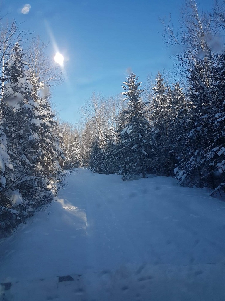 Rough Riders Snowmobile Club Trails - Scenic trails through spruce forest